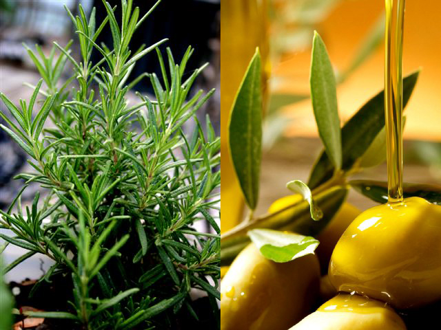 rosemary_olive_oil